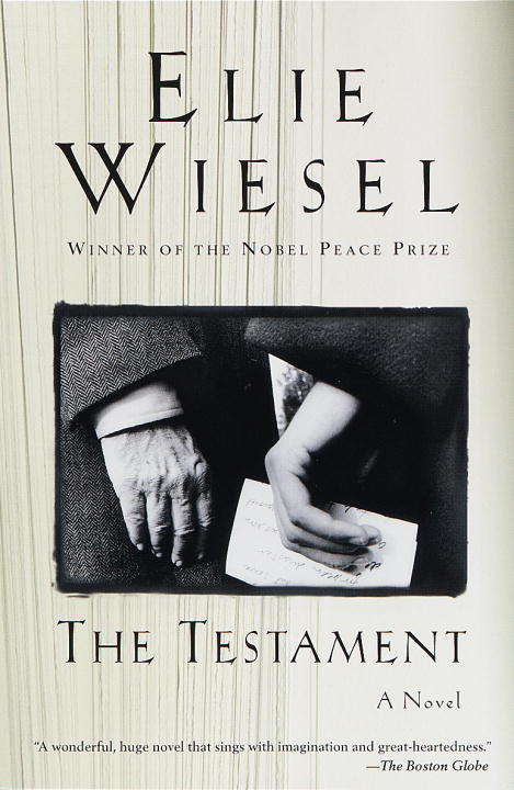 Book cover of The Testament