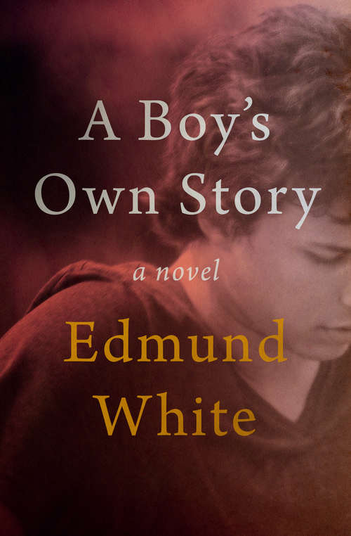 Book cover of A Boy's Own Story: A Novel (Modern Library #47)