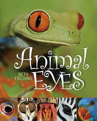 Book cover of Animal Eyes