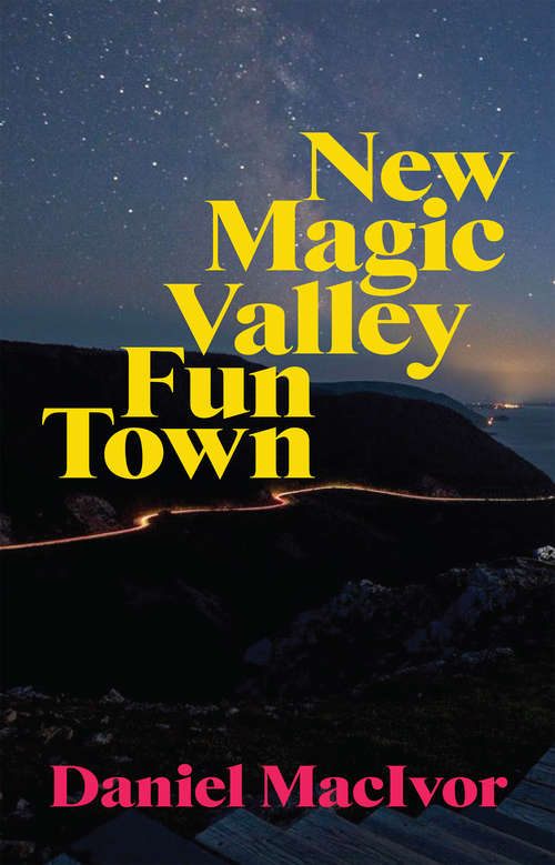 Book cover of New Magic Valley Fun Town
