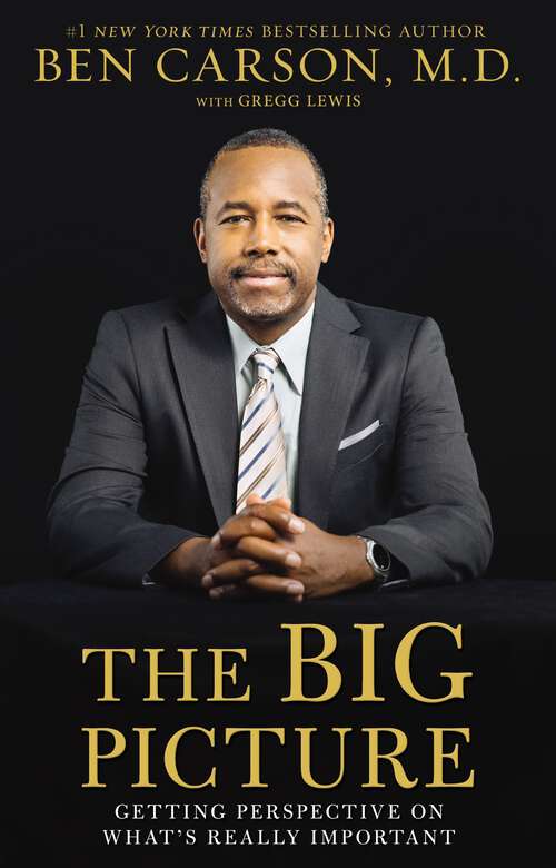 Book cover of The Big Picture: Getting Perspective on What's Really Important in Life