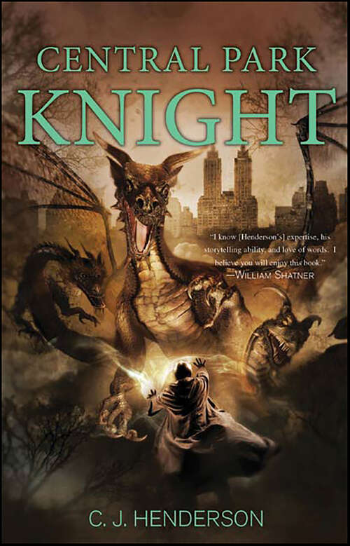 Book cover of Central Park Knight (Piers Knight)