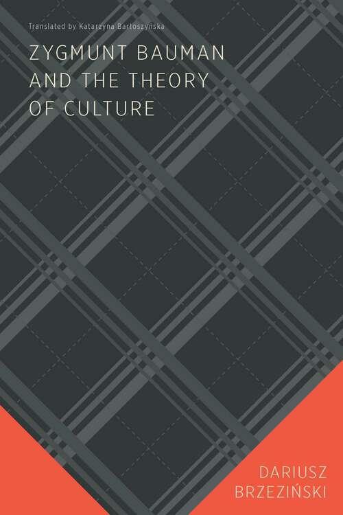 Book cover of Zygmunt Bauman and the Theory of Culture