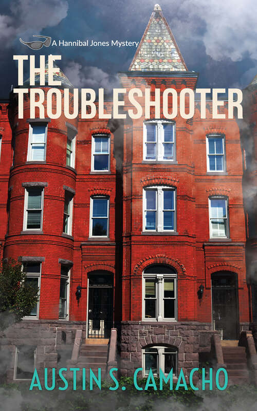 Book cover of The Troubleshooter (Hannibal Jones Mystery Series)
