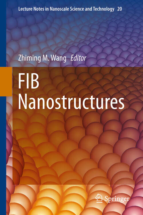 Book cover of FIB Nanostructures