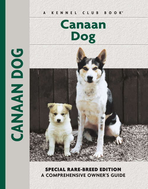 Book cover of Canaan Dog