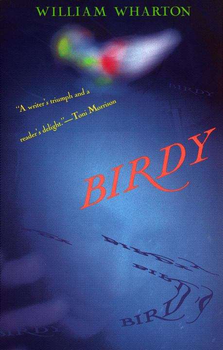 Book cover of Birdie