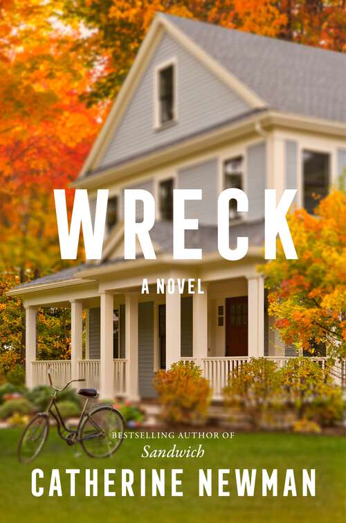 Book cover of Wreck: A Novel