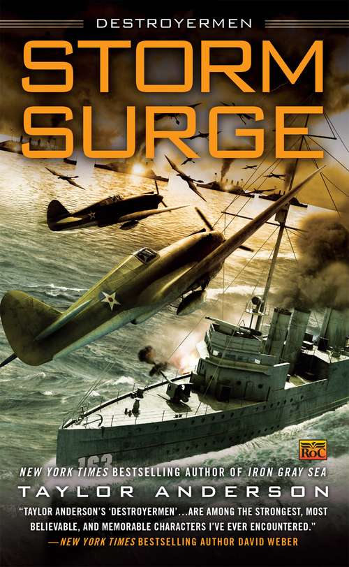 Book cover of Storm Surge