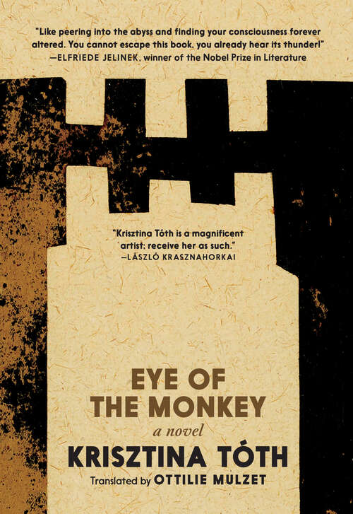Book cover of Eye of the Monkey: A Novel