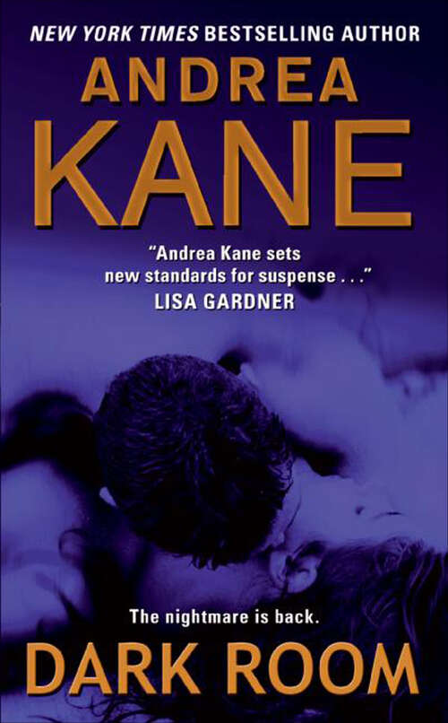 Book cover of Dark Room (Pete Montgomery Ser. #2)
