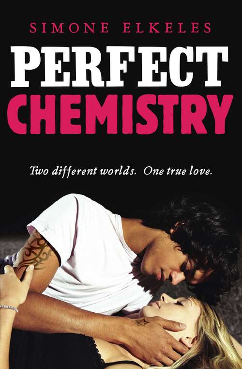 Book cover of Perfect Chemistry