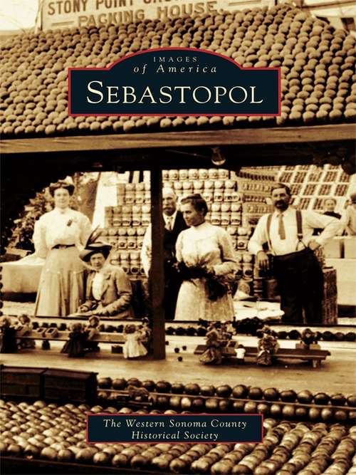 Book cover of Sebastopol