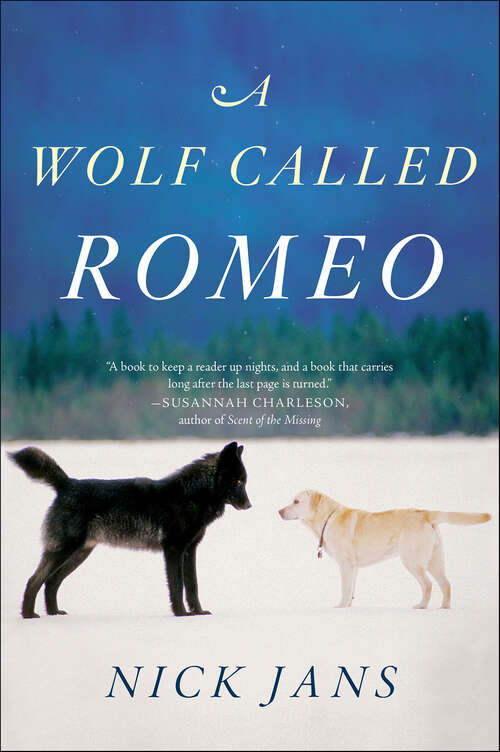 Book cover of A Wolf Called Romeo