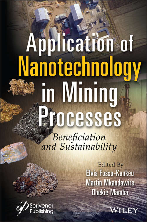 Application of Nanotechnology in Mining Processes: Beneficiation and Sustainability