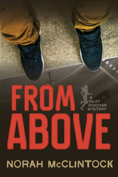 From Above: A Riley Donovan mystery
