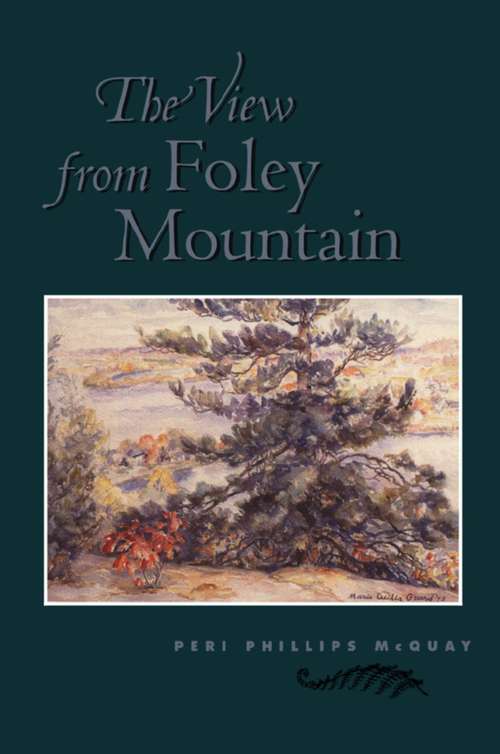 Book cover of The View From Foley Mountain