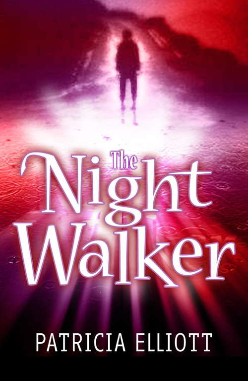 Book cover of The Night Walker