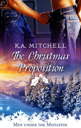 Book cover of The Christmas Proposition