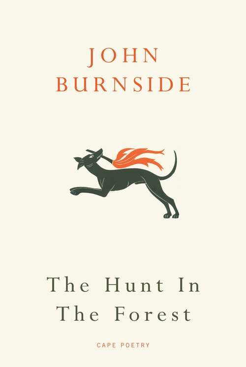 Book cover of The Hunt in the Forest