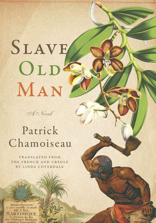 Book cover of Slave Old Man