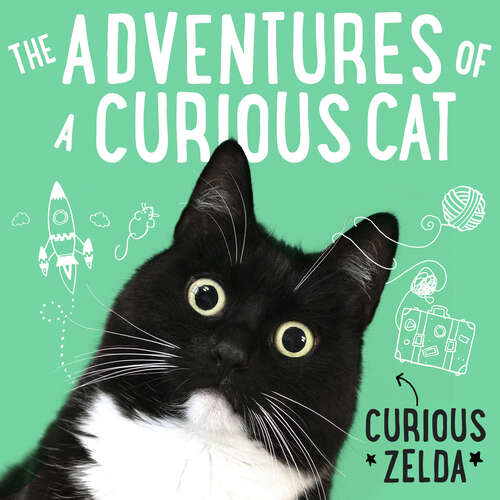Book cover of The Adventures of a Curious Cat: wit and wisdom from Curious Zelda, purrfect for cats and their humans