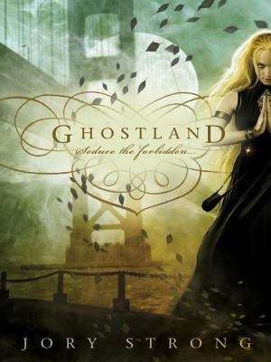 Book cover of Ghostland