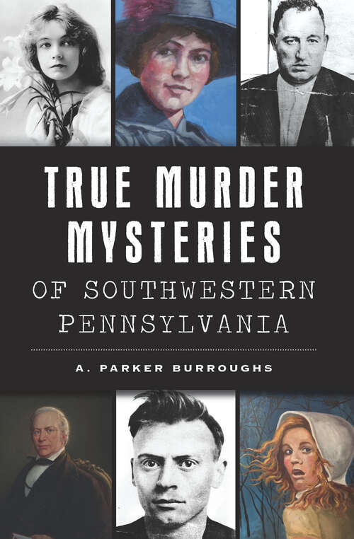 Book cover of True Murder Mysteries of Southwestern Pennsylvania (Murder & Mayhem)