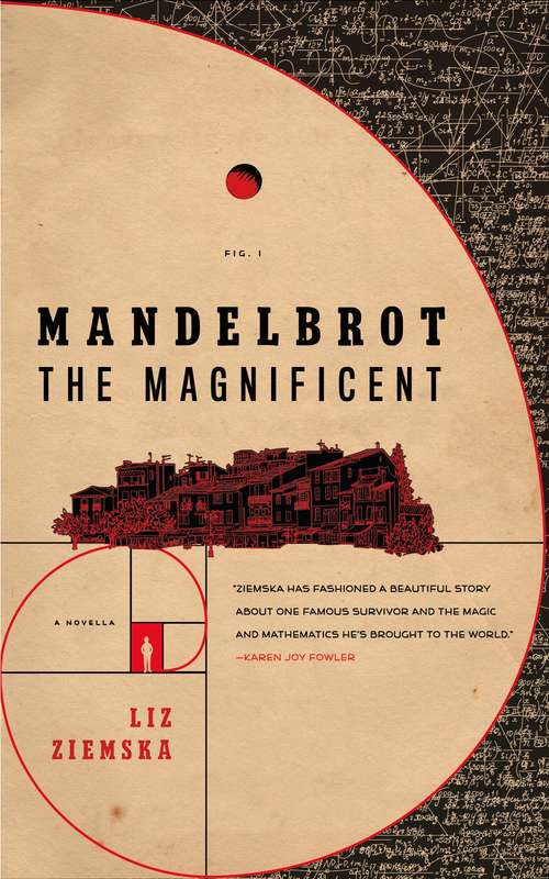 Book cover of Mandelbrot the Magnificent: A Novella