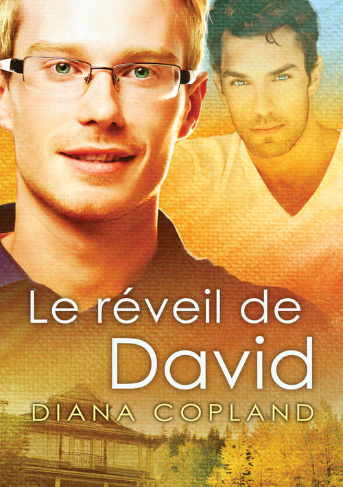 Book cover of Le réveil de David (Delta Restauration #1)