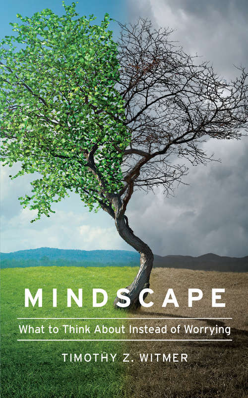 Book cover of Mindscape