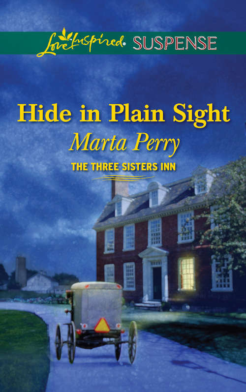 Book cover of Hide in Plain Sight