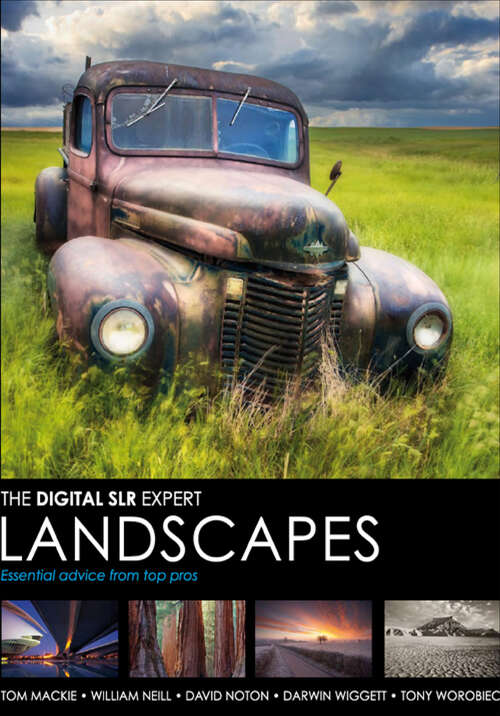 Book cover of The Digital SLR Expert Landscapes: Expert advice from top pros (The Digital SLR Expert)