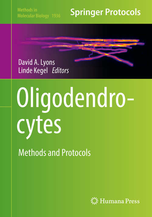 Oligodendrocytes: Methods and Protocols (Methods in Molecular Biology #1936)