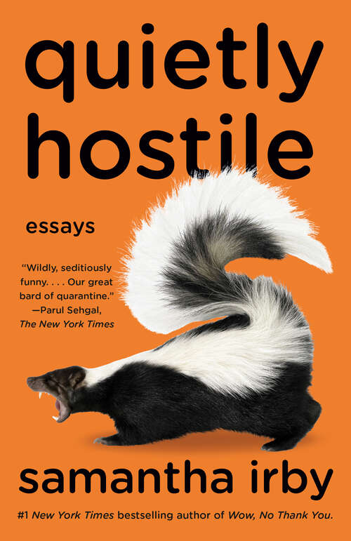 Book cover of Quietly Hostile: Essays
