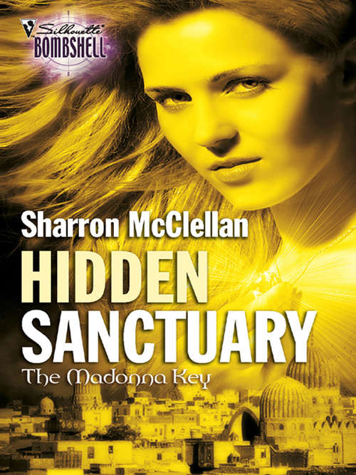 Book cover of Hidden Sanctuary