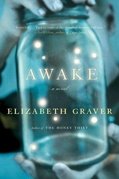 Book cover of Awake