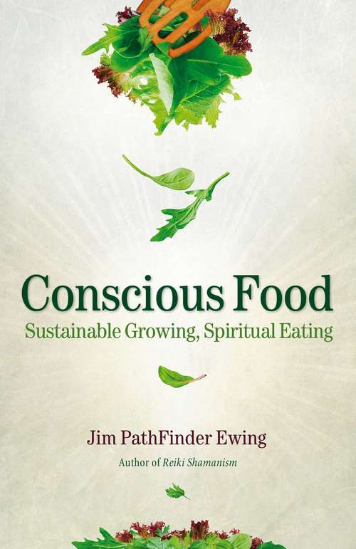Book cover of Conscious Food