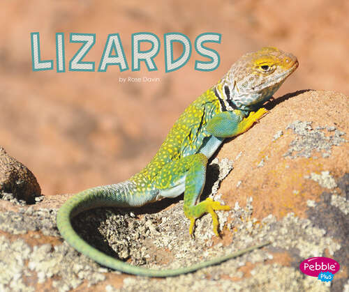 Book cover of Lizards (Meet Desert Animals Ser.)