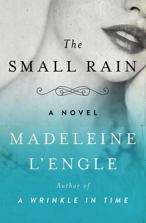 Book cover of The Small Rain: A Novel
