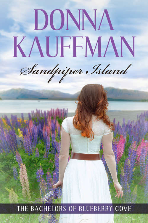 Book cover of Sandpiper Island