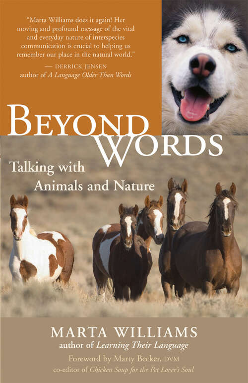 Book cover of Beyond Words