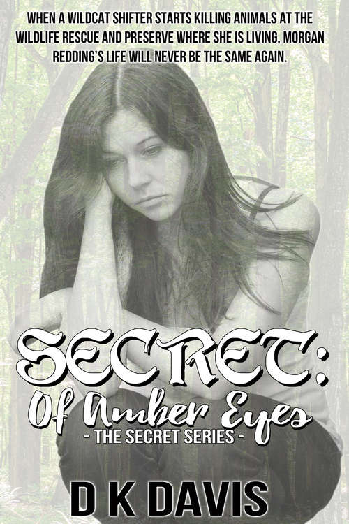 Secret of Amber Eyes: The Secret Series (The Secret Series #3)