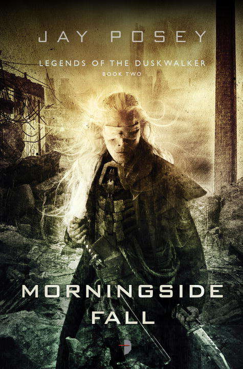 Book cover of Morningside Fall