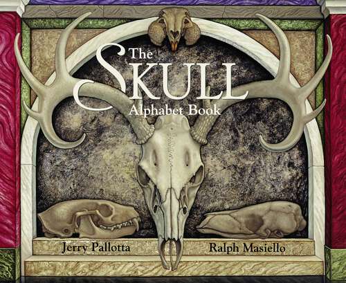 Book cover of The Skull Alphabet Book (Jerry Pallotta's Alphabet Books)