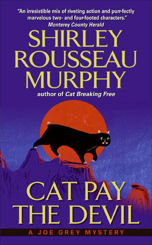 Book cover of Cat Pay the Devil