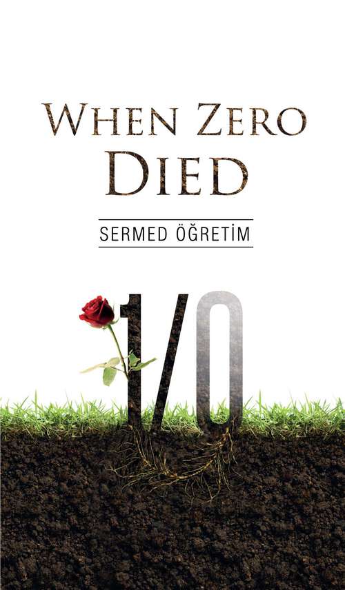 Book cover of When Zero Died