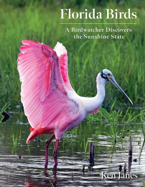 Book cover of Florida Birds: A Birdwatcher Discovers the Sunshine State