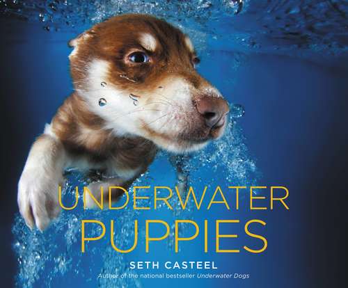 Book cover of Underwater Puppies