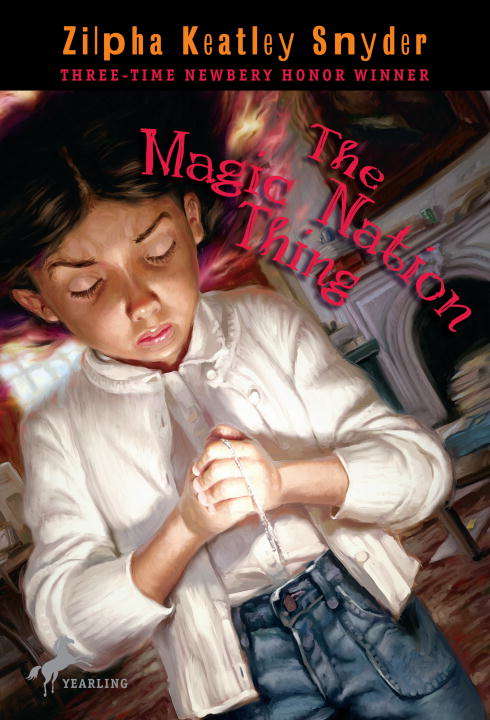 Book cover of The Magic Nation Thing